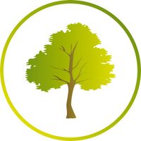 Baum Gemeinschaftspraxis